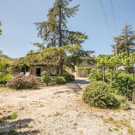 Appartamento Gemma Verde-tavoleto Castiglione dʼOrcia Esterno foto