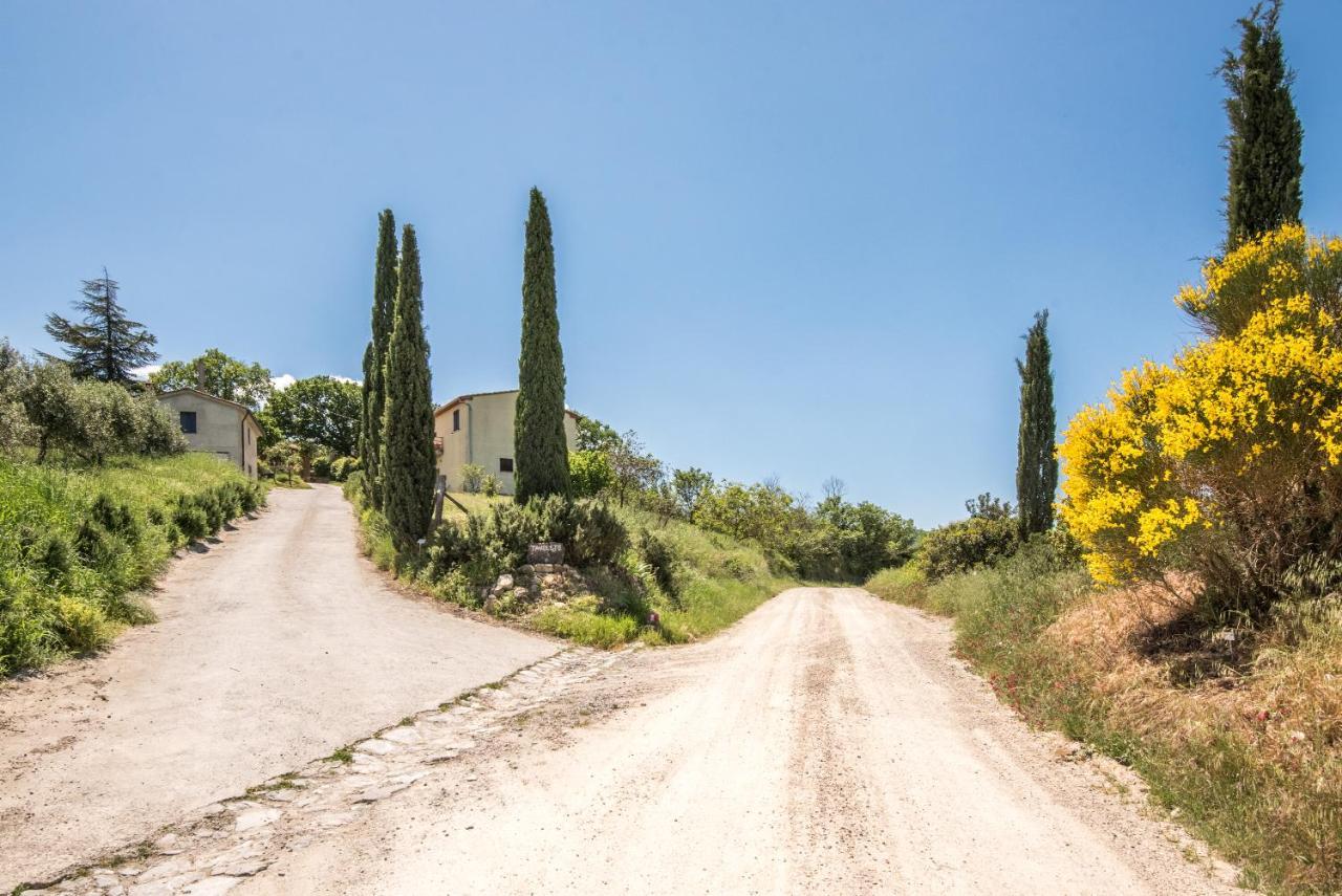 Appartamento Gemma Verde-tavoleto Castiglione dʼOrcia Esterno foto