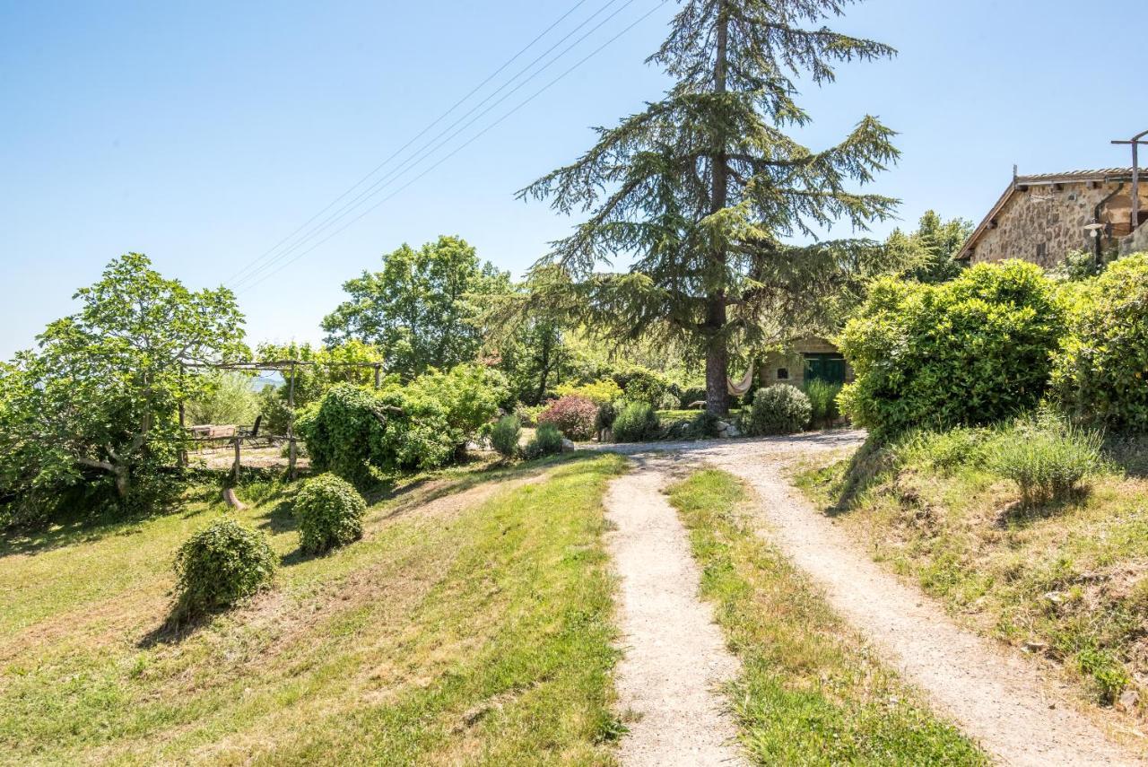 Appartamento Gemma Verde-tavoleto Castiglione dʼOrcia Esterno foto